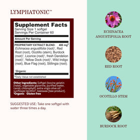 Ingrédients des gélules Lymphatonic de Herbs Etc.