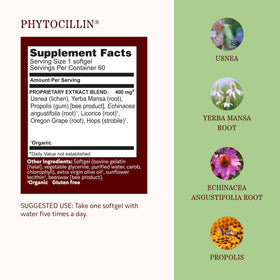 Ingrédients des gélules molles Phytocillin d'Herbs Etc.