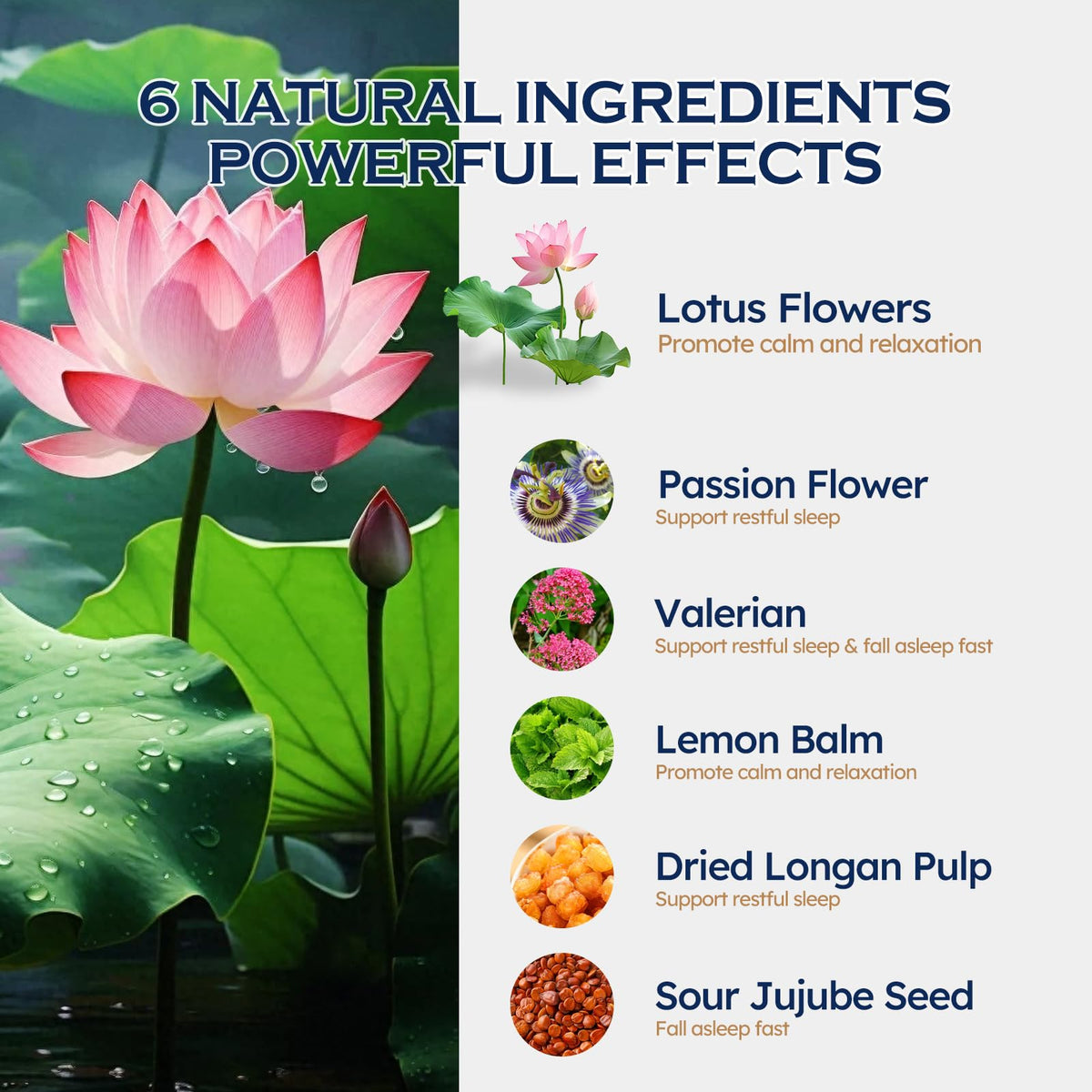 Ingrédients des gouttes d'extrait de fleurs de lotus ORGANIHERBENCE