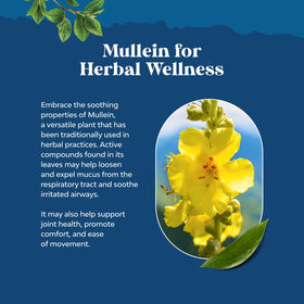 Ingredients des Gouttes de Mullein Bio sur une table en bois