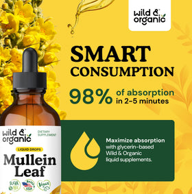 Ingrédients des gouttes de mullein Wild & Organic sur fond blanc