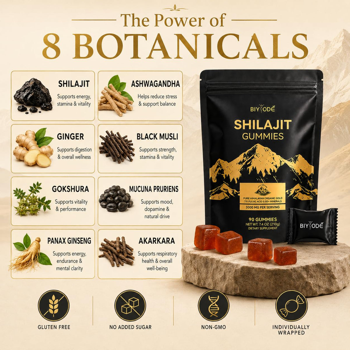 Ingrédients des gummies au Shilajit BIYODE, illustration