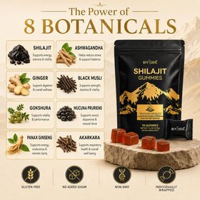 Ingrédients des gummies au Shilajit BIYODE, illustration
