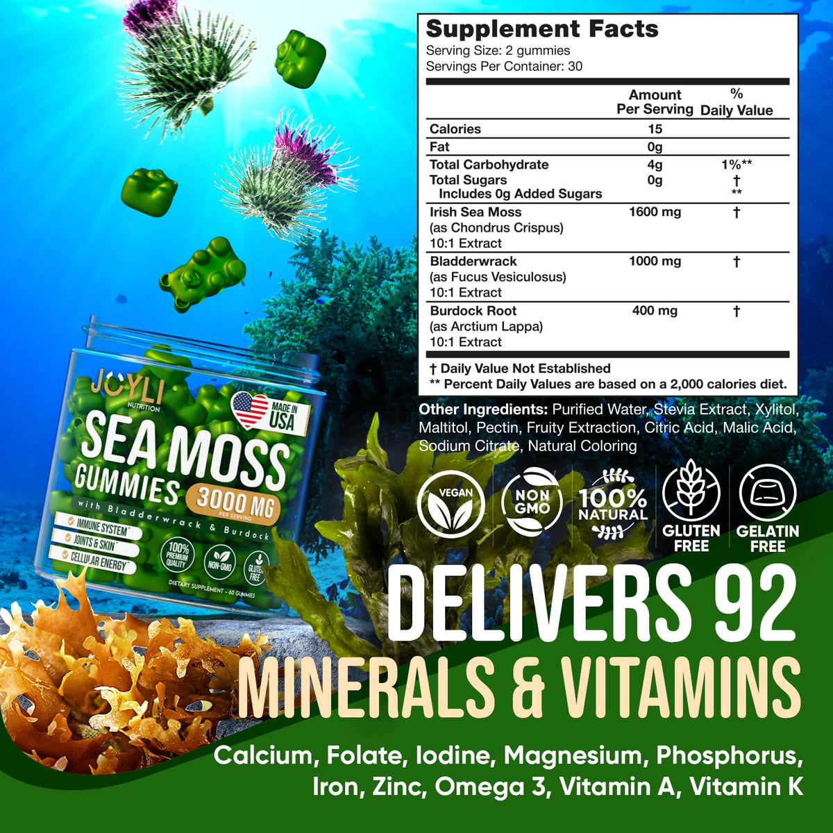 Ingrédients des gummies de mousse marine JOYLI Nutrition, vue sur le paquet