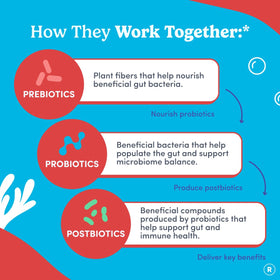 Ingrédients des gummies FIRST DAY Probiotique
