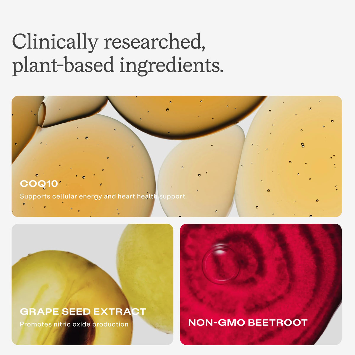 Ingrédients des gummies HumanN SuperBeets 3-en-1