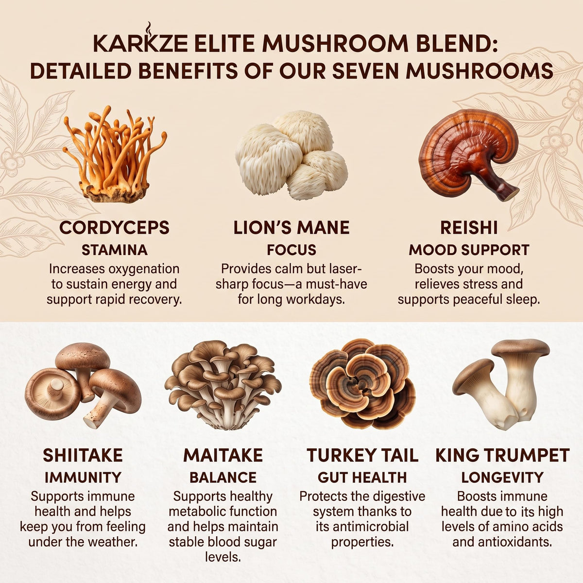 Ingrédients du café instantané karkze, champignons et café bio