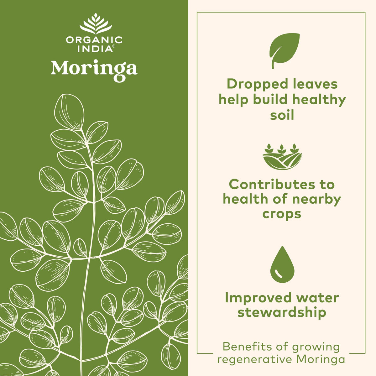 Ingrédients du Chocolat Moringa Latte ORGANIC INDIA sur l'emballage