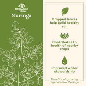Ingrédients du Chocolat Moringa Latte ORGANIC INDIA sur l'emballage