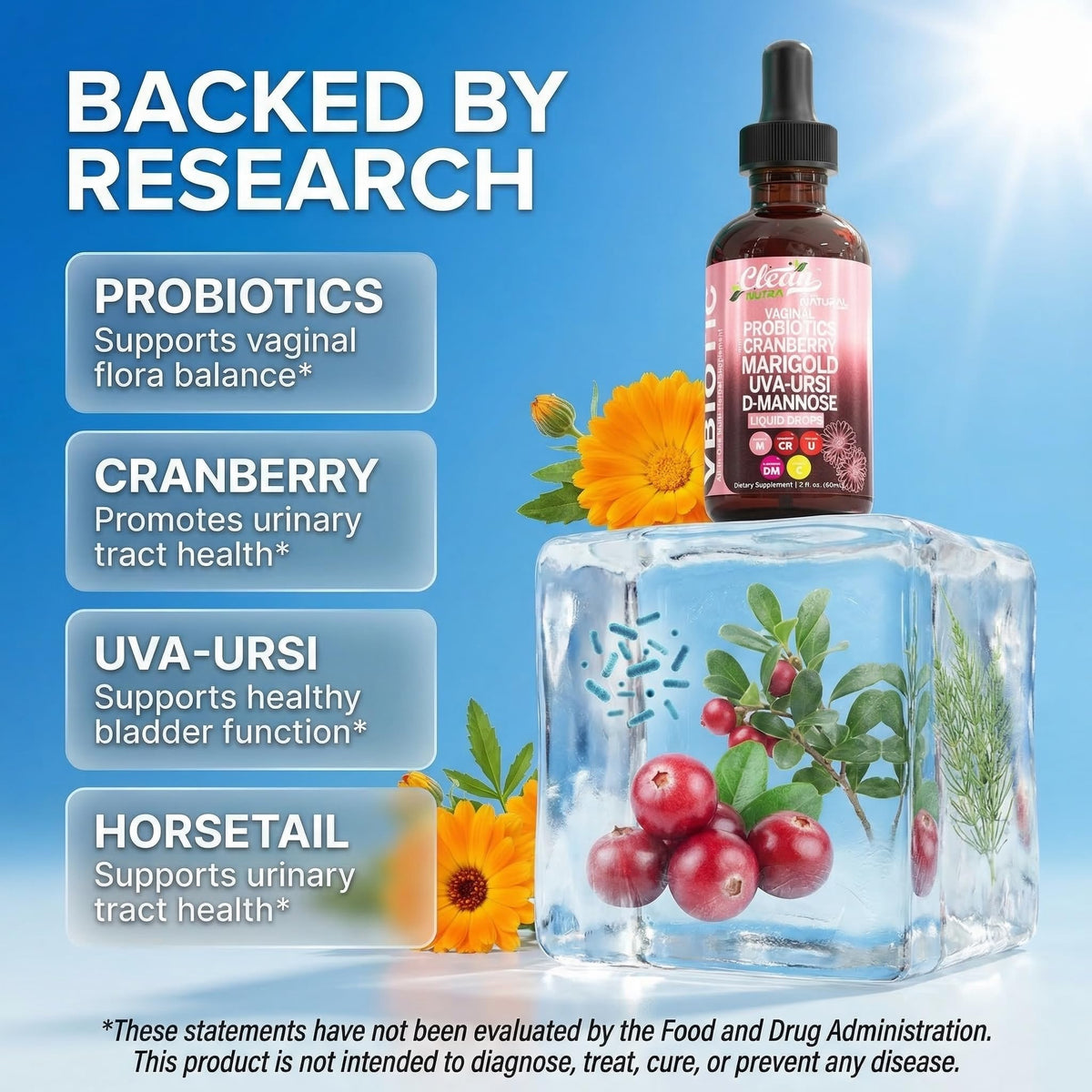 Ingrédients du Clean Nutraceuticals VBiotic Probiotiques Vaginal