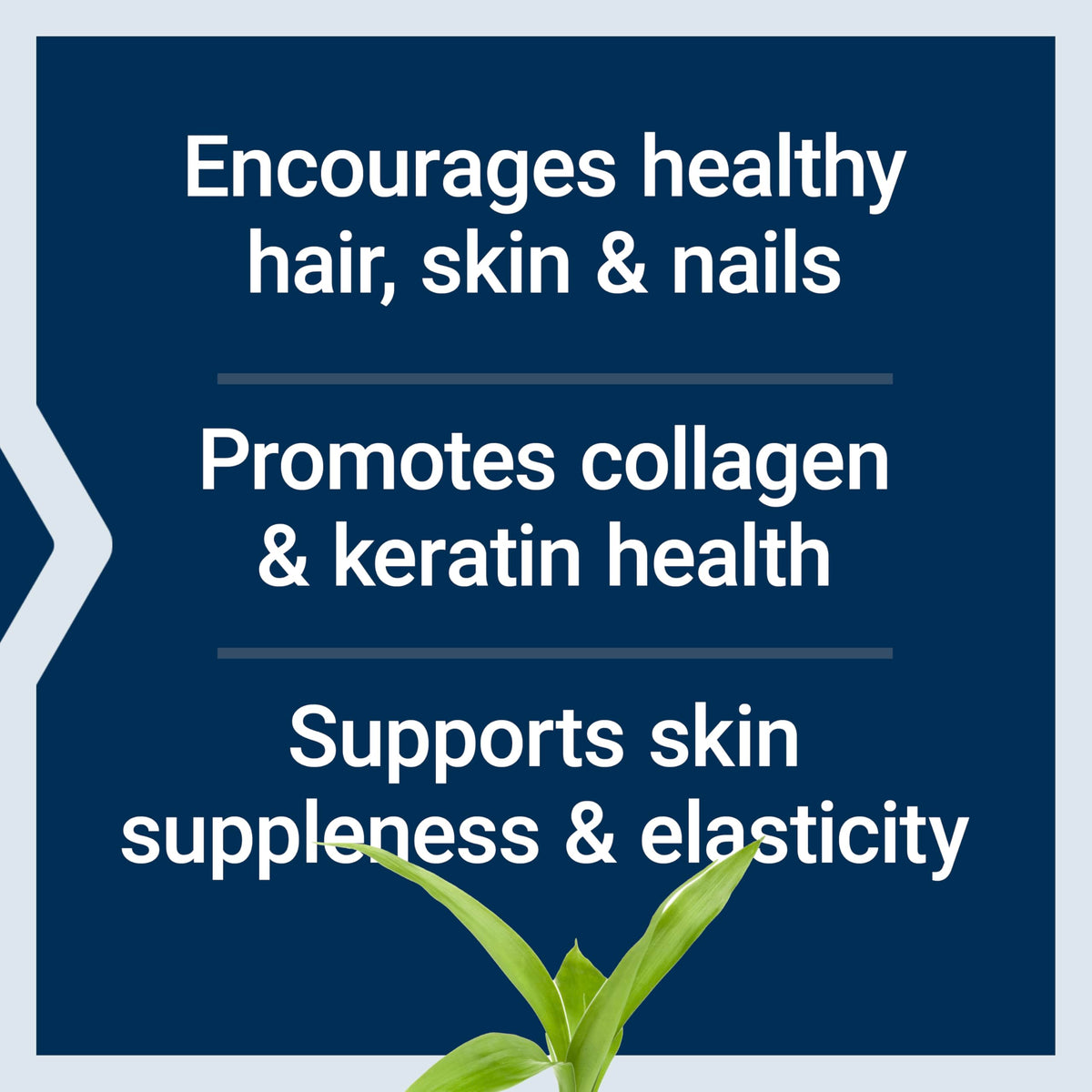 Ingrédients du Collagène Plus Cheveux, Peau & Ongles Life Extension