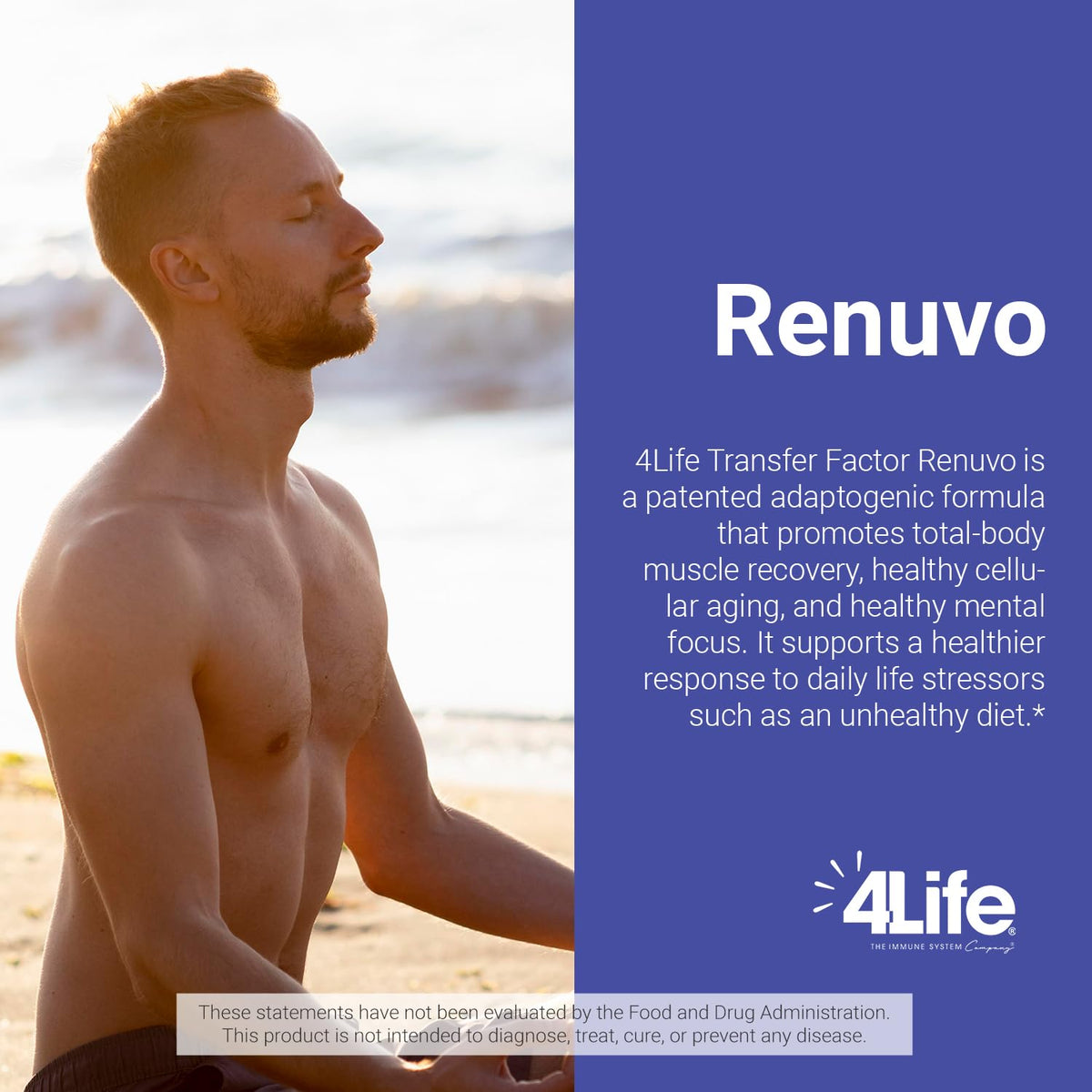 Ingrédients du complément alimentaire 4Life Renuvo