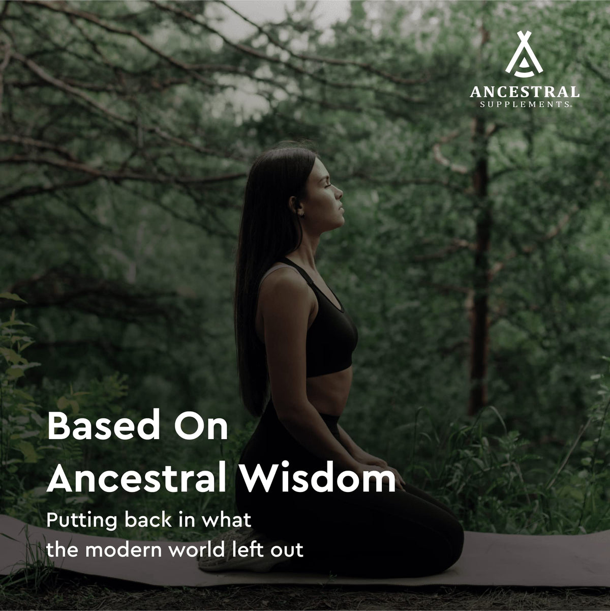Ingrédients du complément alimentaire à la placentation de bœuf Ancestral Supplements