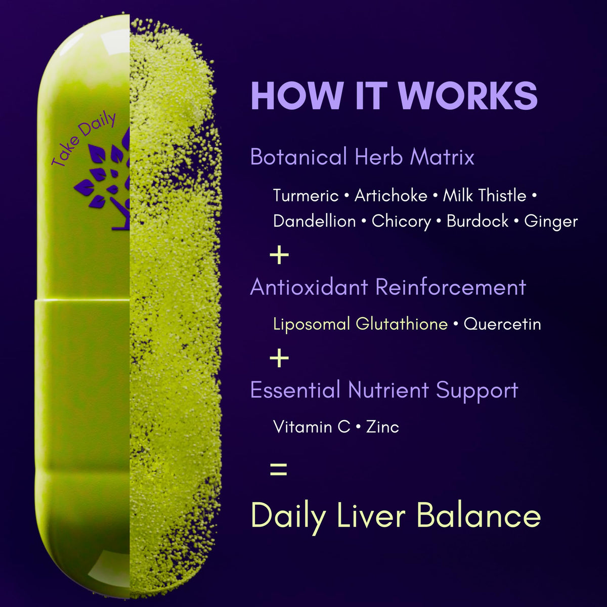 Ingrédients du complément alimentaire Happy Liver Daily de purple tree