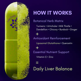 Ingrédients du complément alimentaire Happy Liver Daily de purple tree