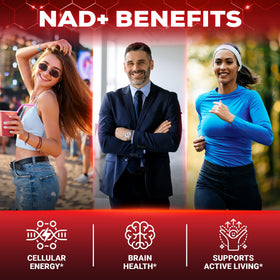 Ingrédients du complément alimentaire liquide NAD+ Tenmido sur l'étiquette