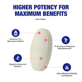 Ingrédients du complément Glucosamine Chondroïtine MSM Anabolic Laboratories sur l'étiquette