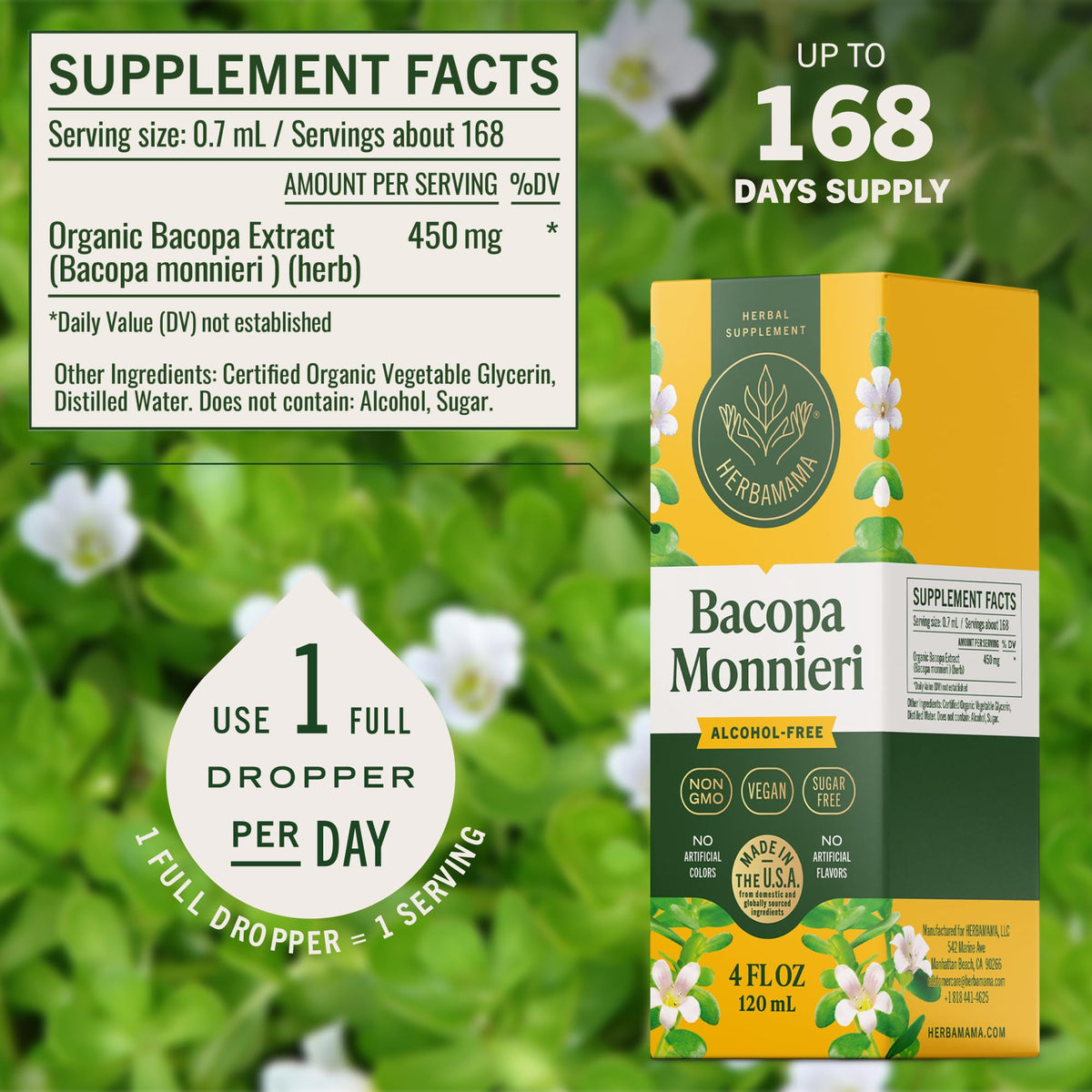 Ingrédients du complément HERBAMAMA Bacopa Monnieri