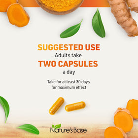 Ingrédients du complément Nature's Base Curcuma et Gingembre sur fond neutre