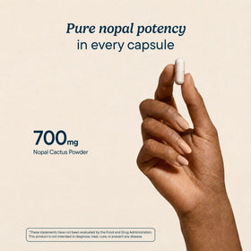 Ingrédients du complément Nopal de Santo Remedio
