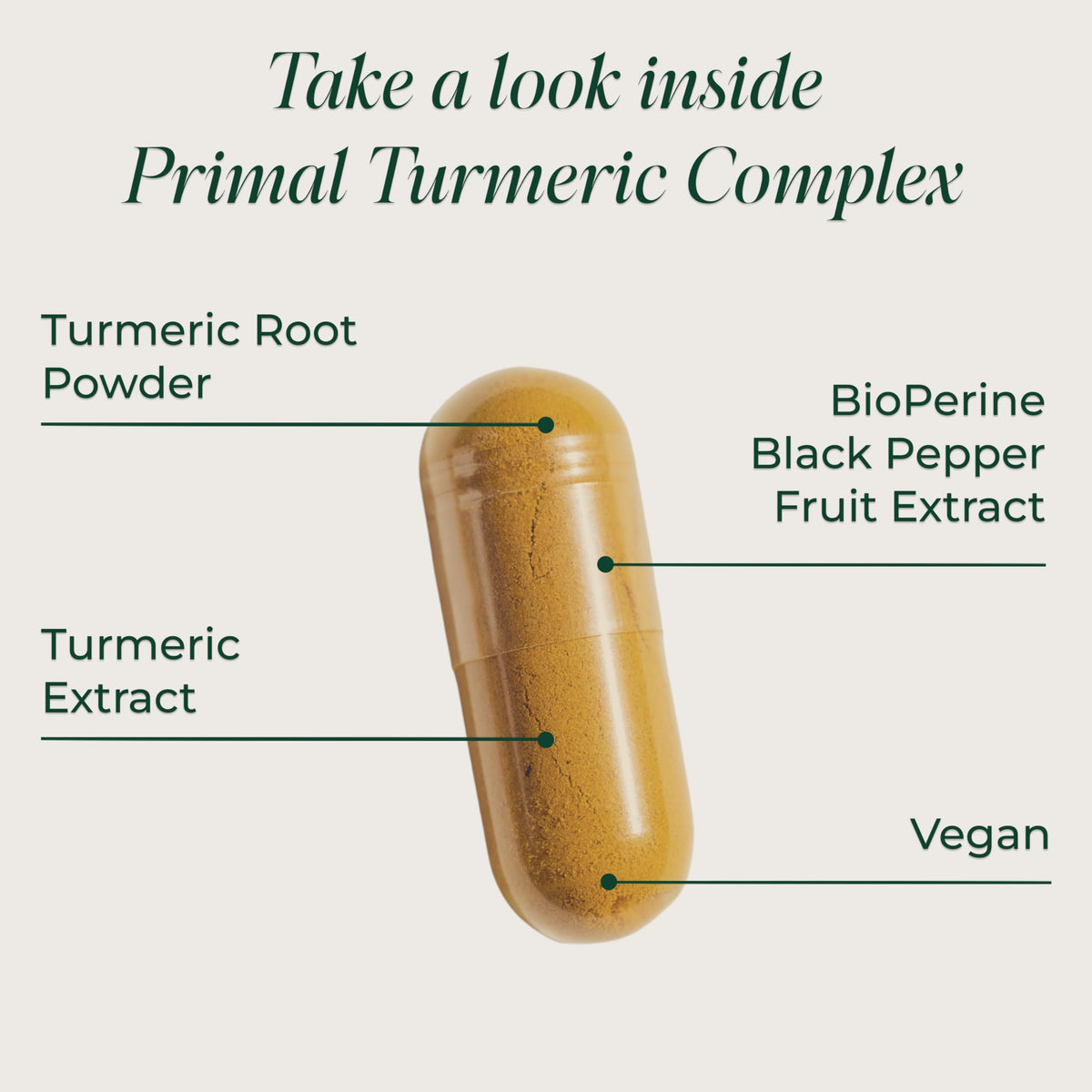 Ingrédients du Complexe de Curcuma Primal Harvest en gros plan