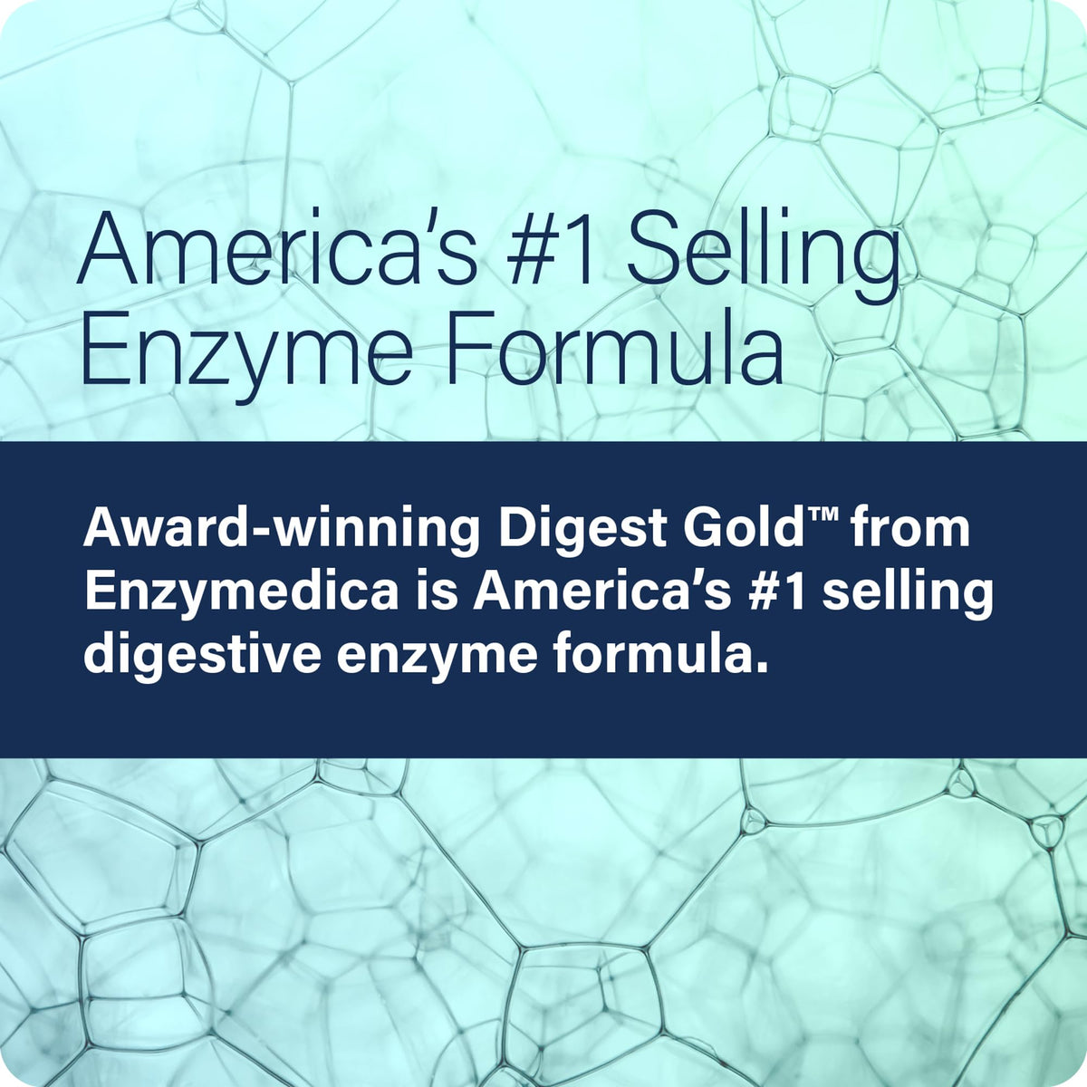 Ingrédients du daily Gold Enzyme Science sur l'étiquette