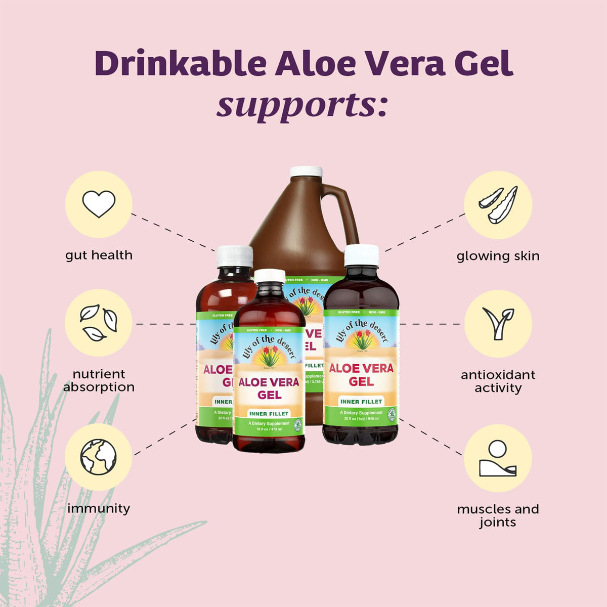 Ingrédients du Jus d'Aloe Vera Lily Of The Desert