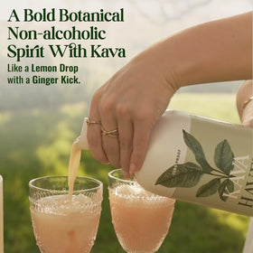 Ingrédients du Kava Haven Spirit Non Alcoolisé
