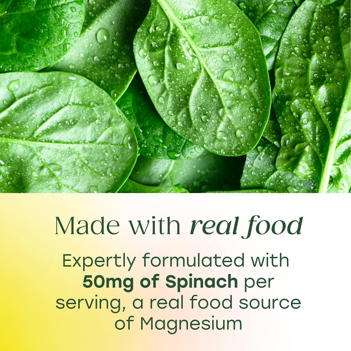 Ingrédients du MegaFood Complexe de Magnésium sur l'étiquette