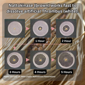 Ingrédients du Nattokinase et Kefir sur l'emballage