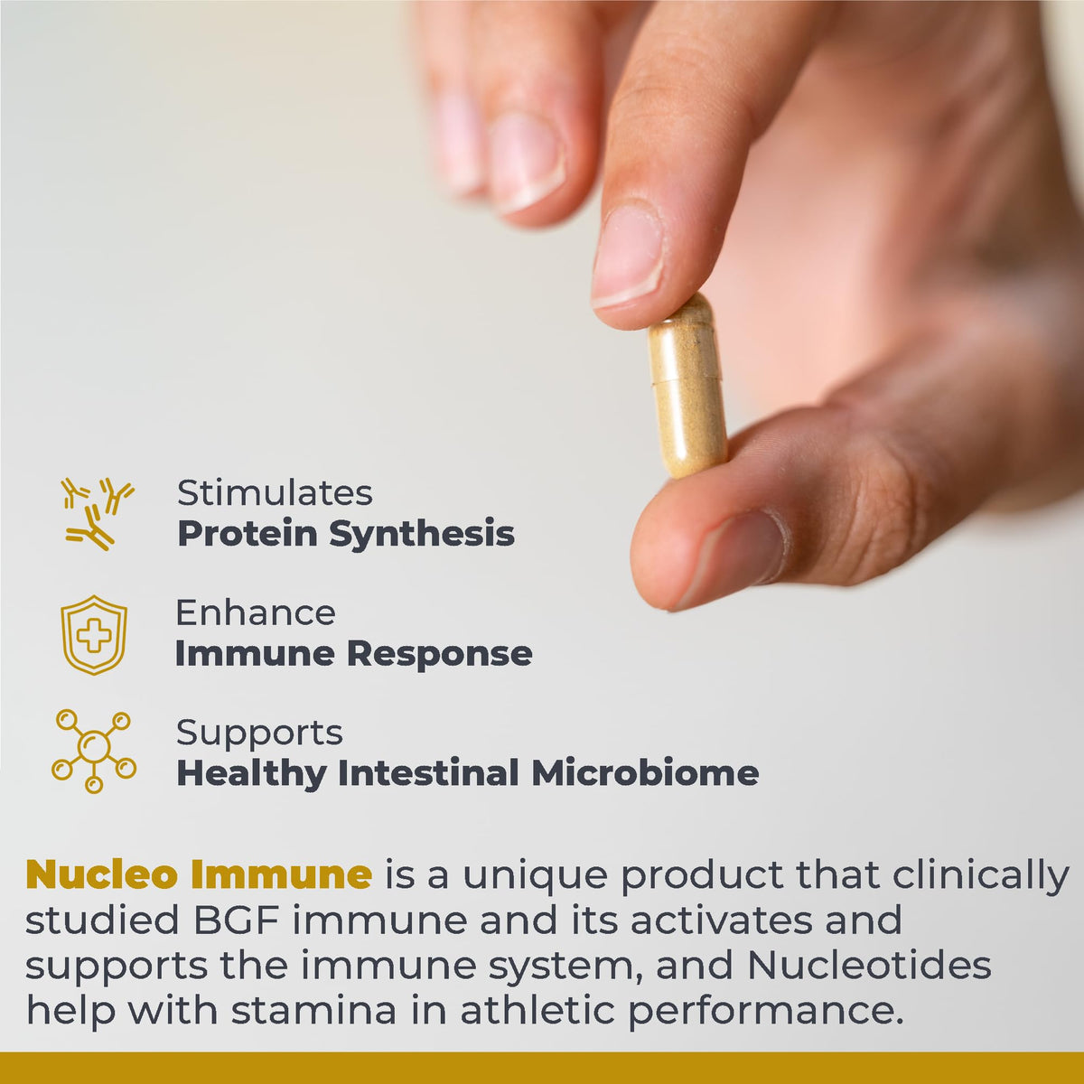 Ingrédients du Nucleo daily wellness sur fond blanc