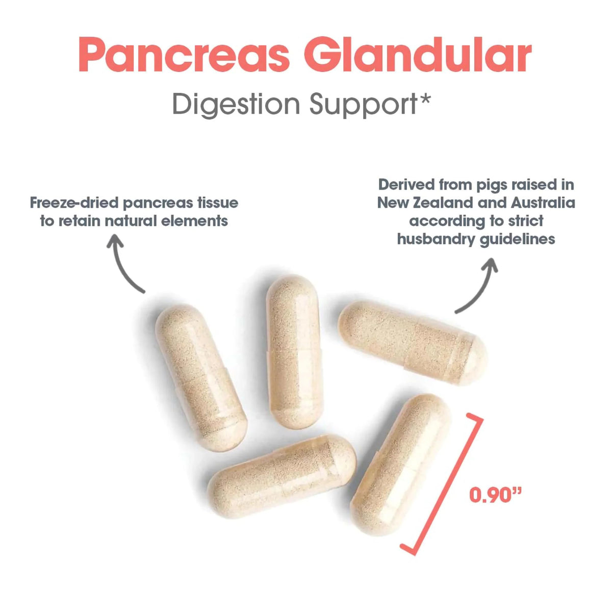 Ingrédients du Pancreas Glandulaire 425 mg d'Allergy Research Group