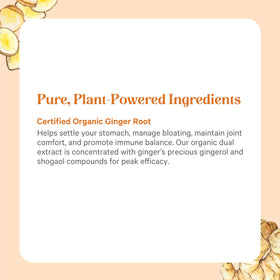 Ingrédients du PURE SYNERGY Extrait de Gingembre