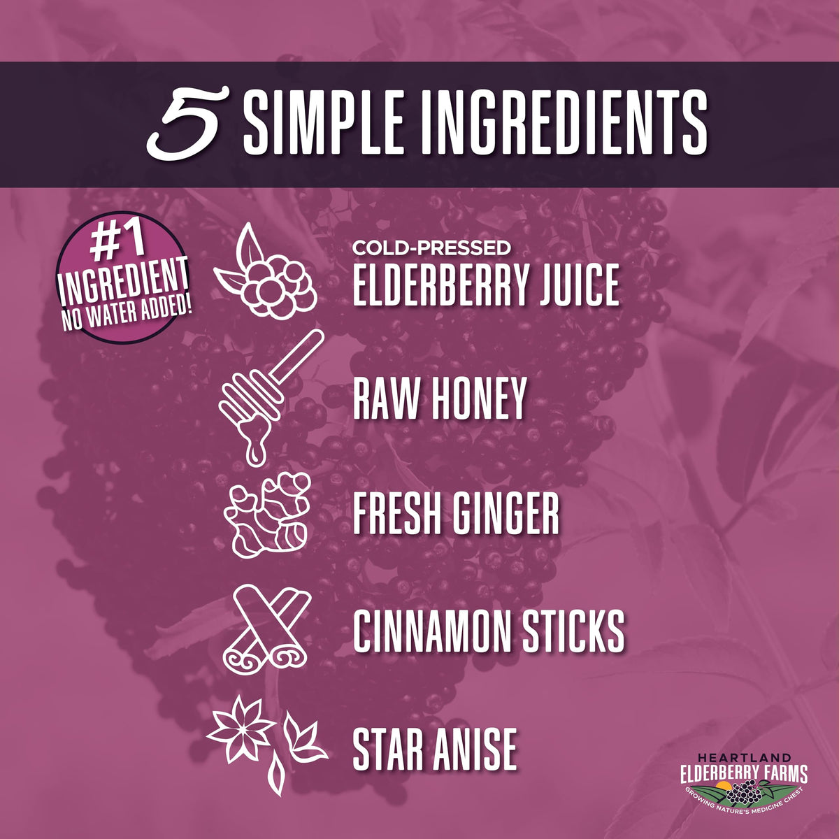 Ingrédients du sirop de sureau bio Heartland, miel, gingembre, cannelle