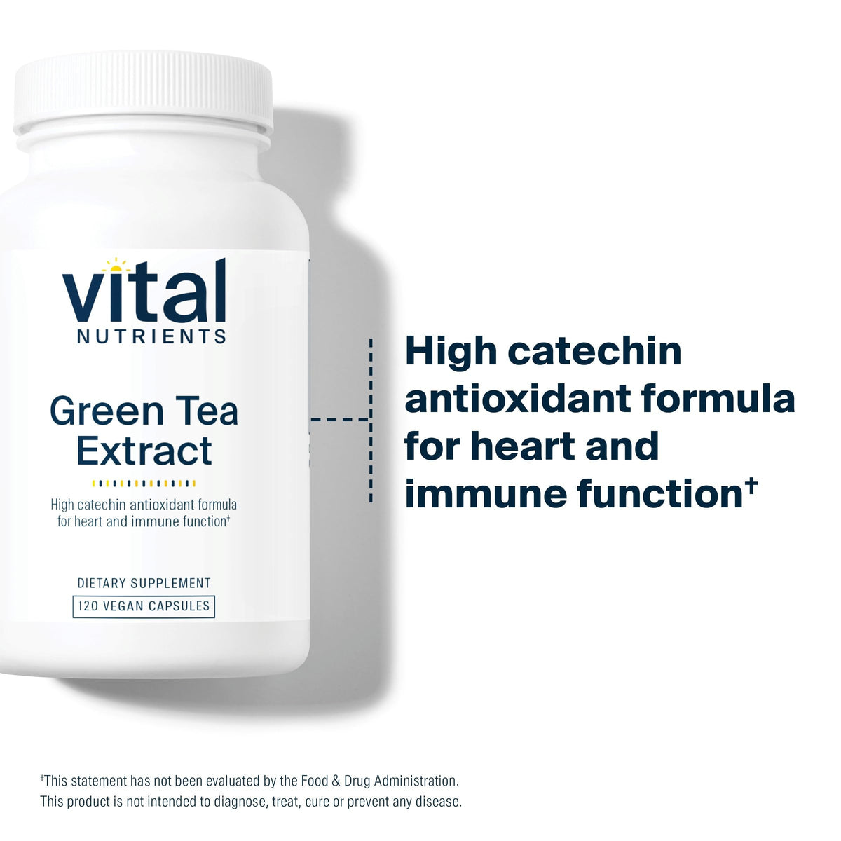 Ingrédients du Vital Nutrients Extrait de Thé Vert