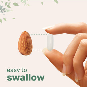 Ingrédients du Zinc Picolinate 50mg Micro Ingredients