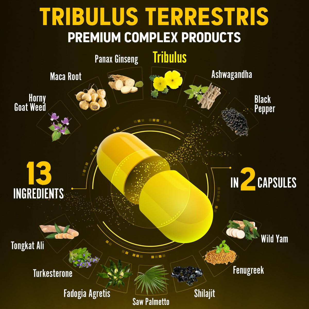 Ingrédients du Zolotus Complément Alimentaire 13-en-1