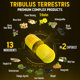 Ingrédients du Zolotus Complément Alimentaire 13-en-1