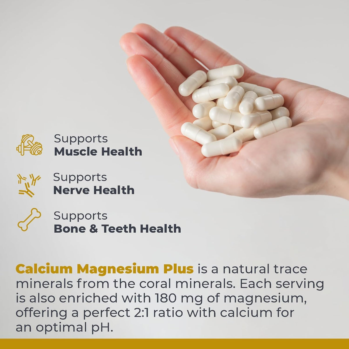 Ingredients list of Premier Research Labs Calcium Magnesium Plus