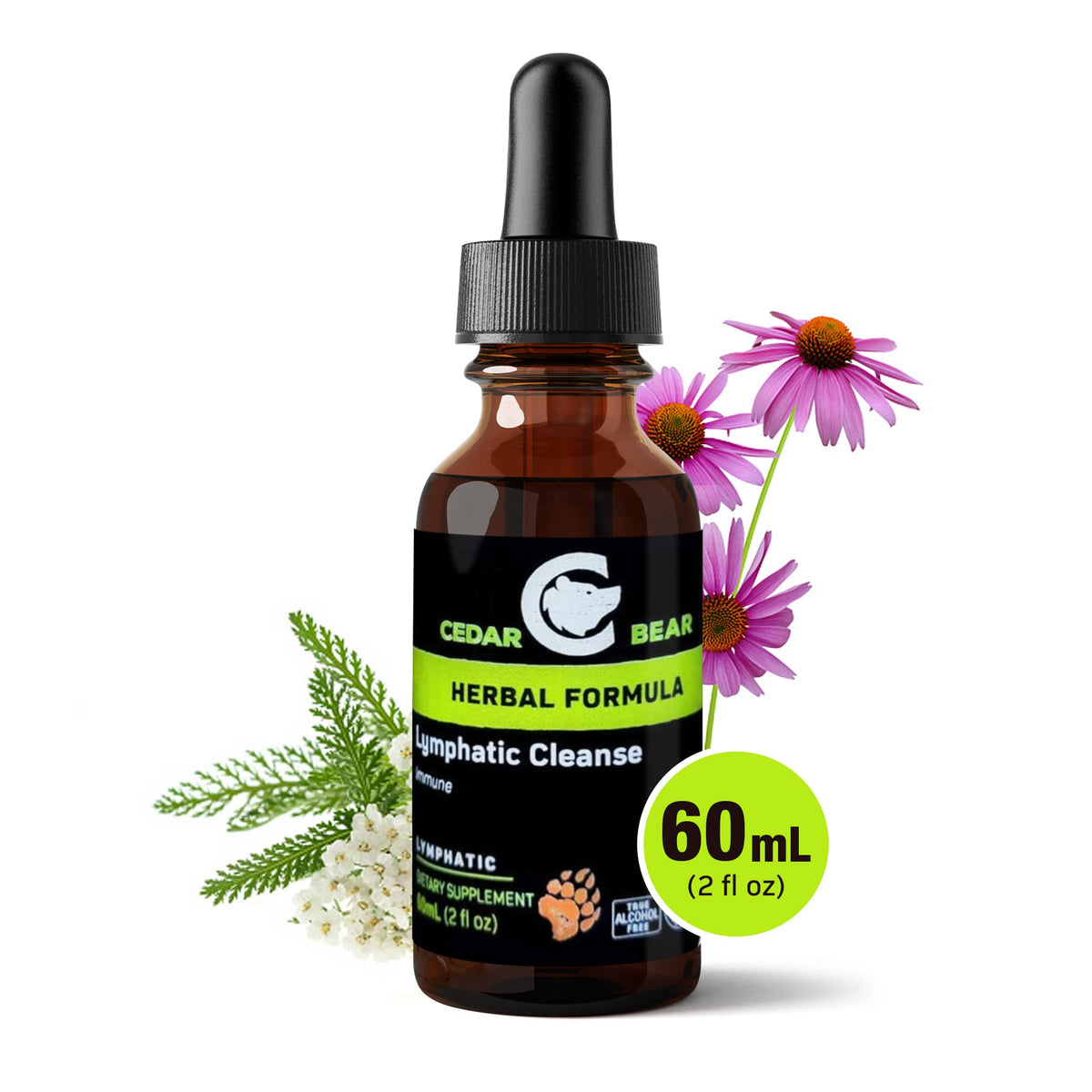 Ingrédients naturels de Cedar Bear Lymphatic Cleanse