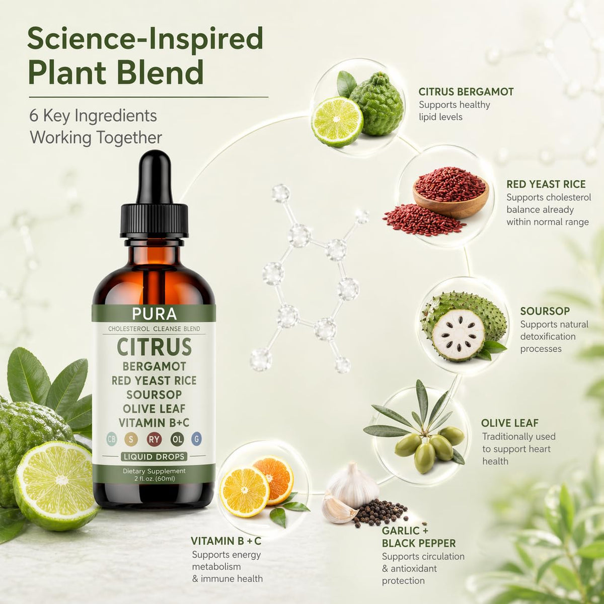 Ingrédients naturels de la formule de PURA Bergamot