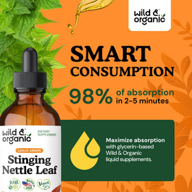 Ingrédients naturels de la Teinture d'Ortie Wild & Organic