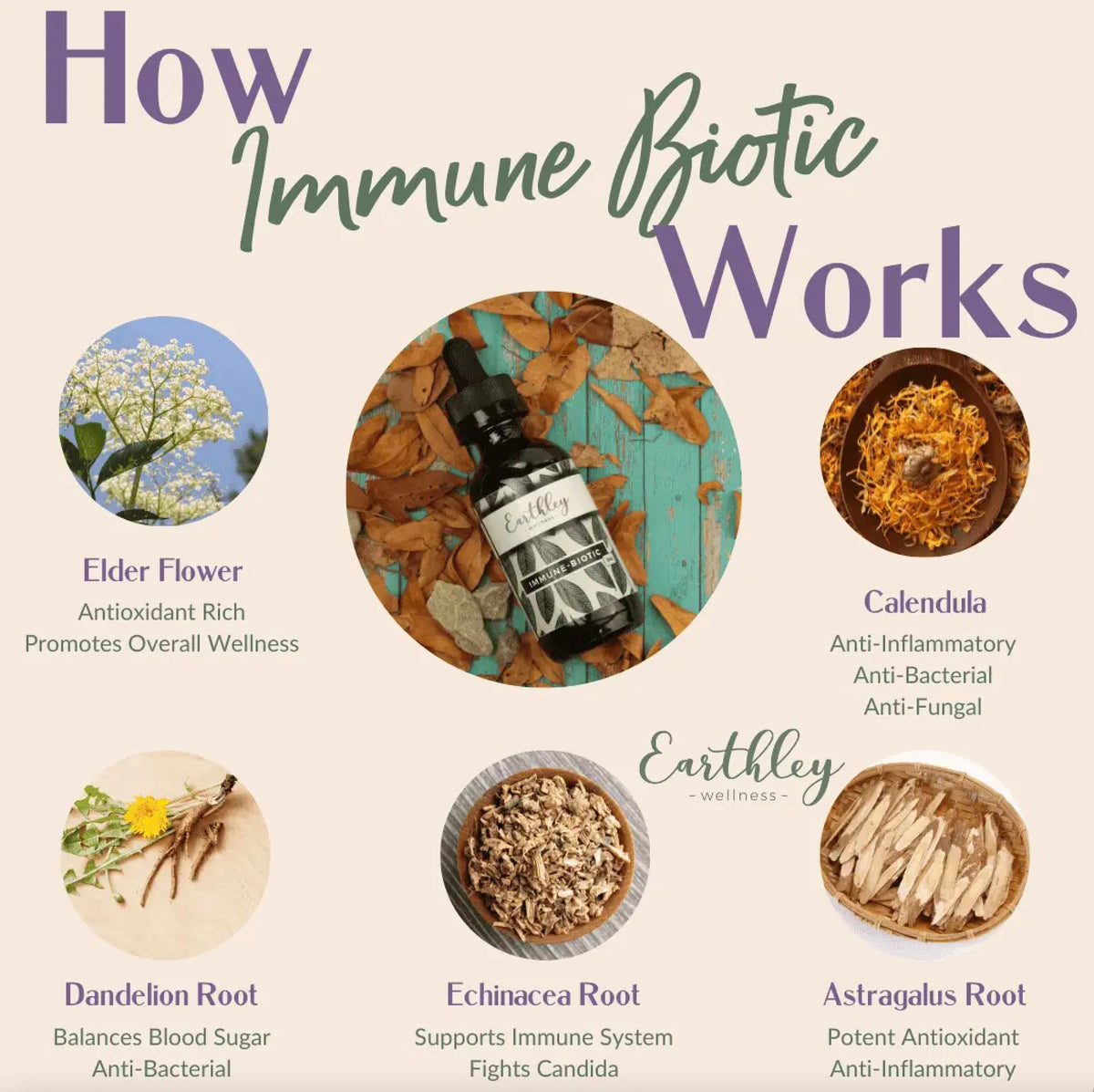 Ingrédients naturels de la teinture daily wellness Biotic