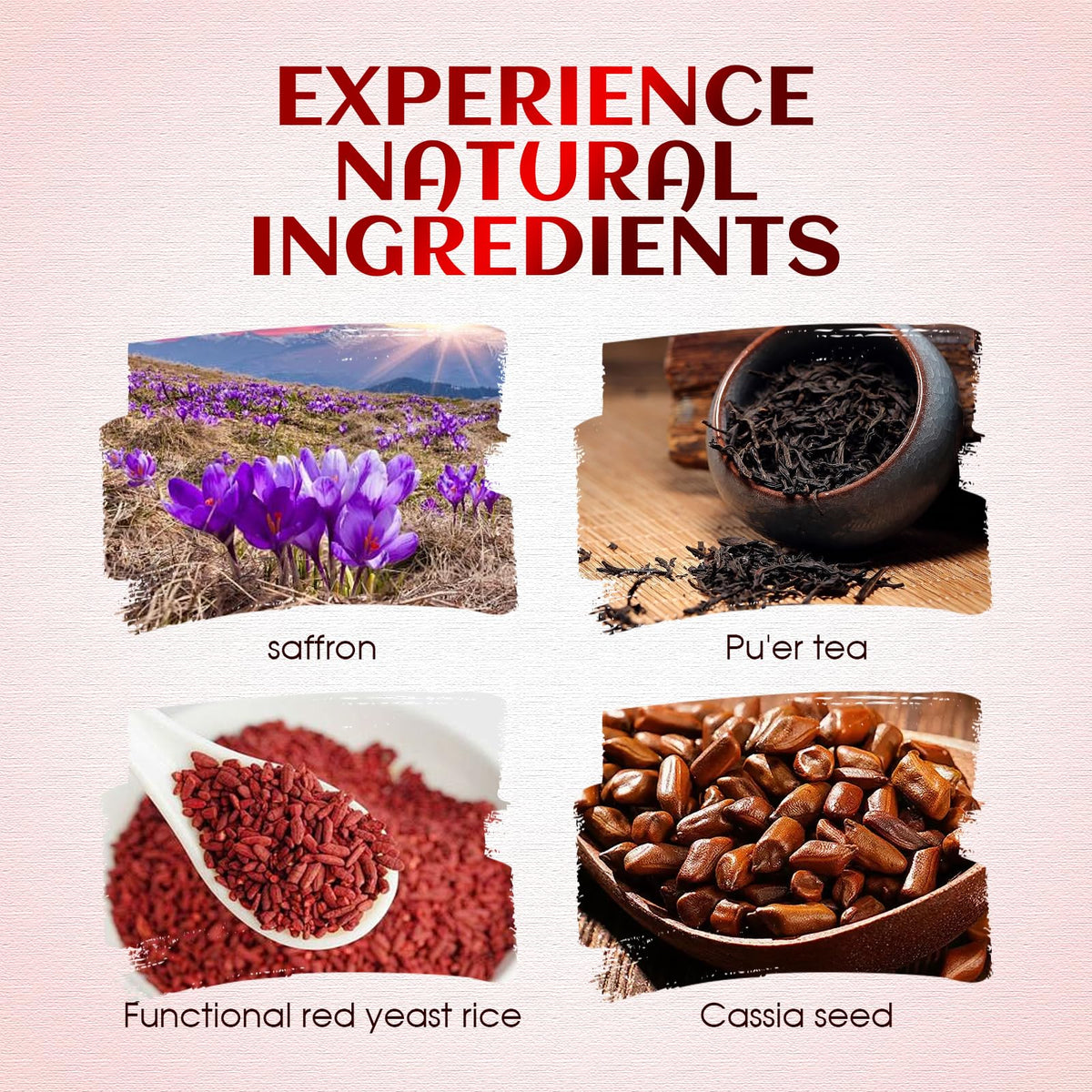 Ingrédients naturels de la tisane de riz rouge tibétain