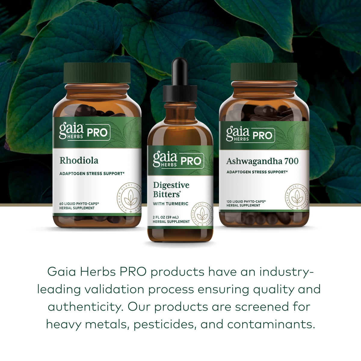 Ingrédients naturels des Bitters daily au Curcuma