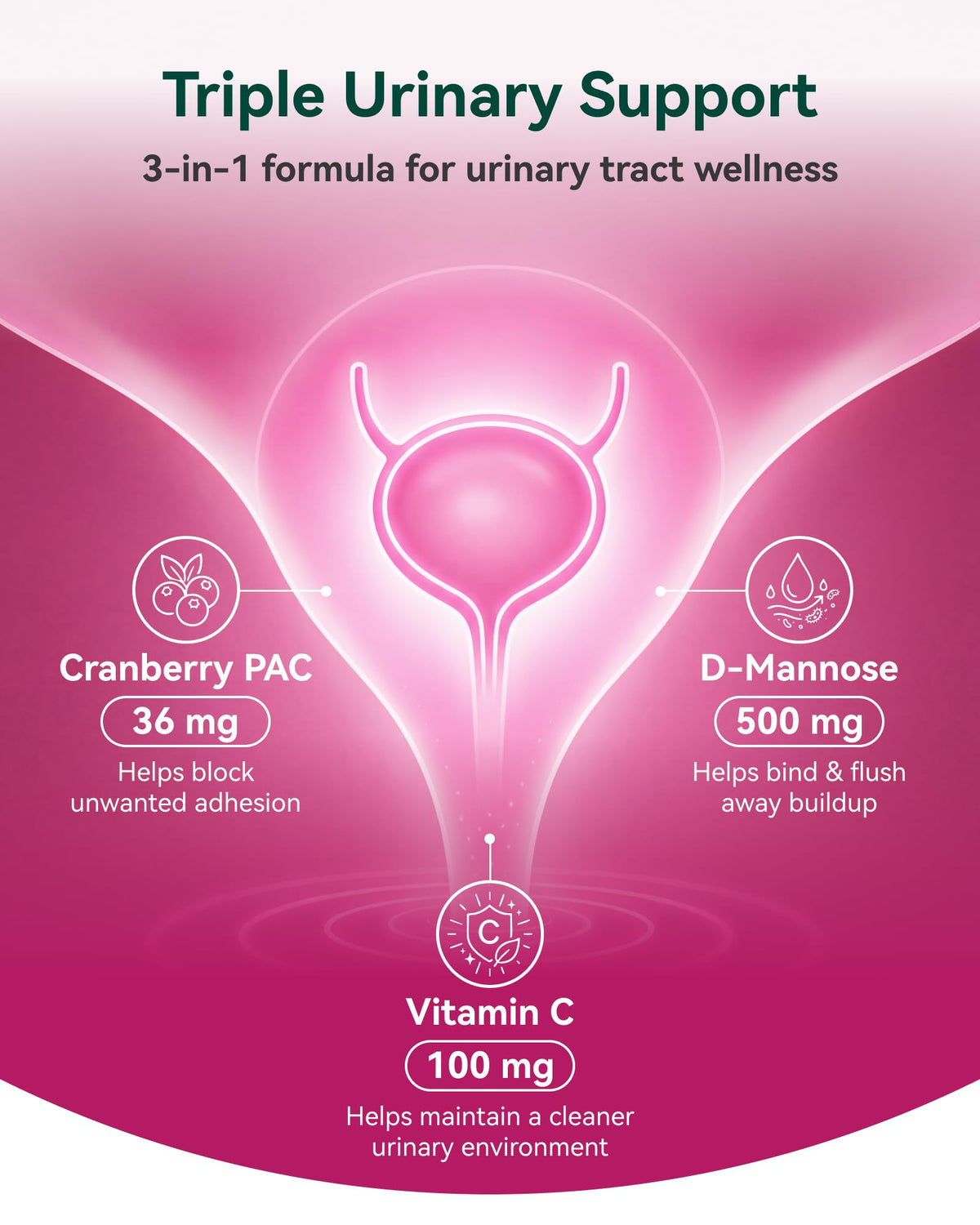 Ingrédients naturels des capsules Cranberry Inner Brightness
