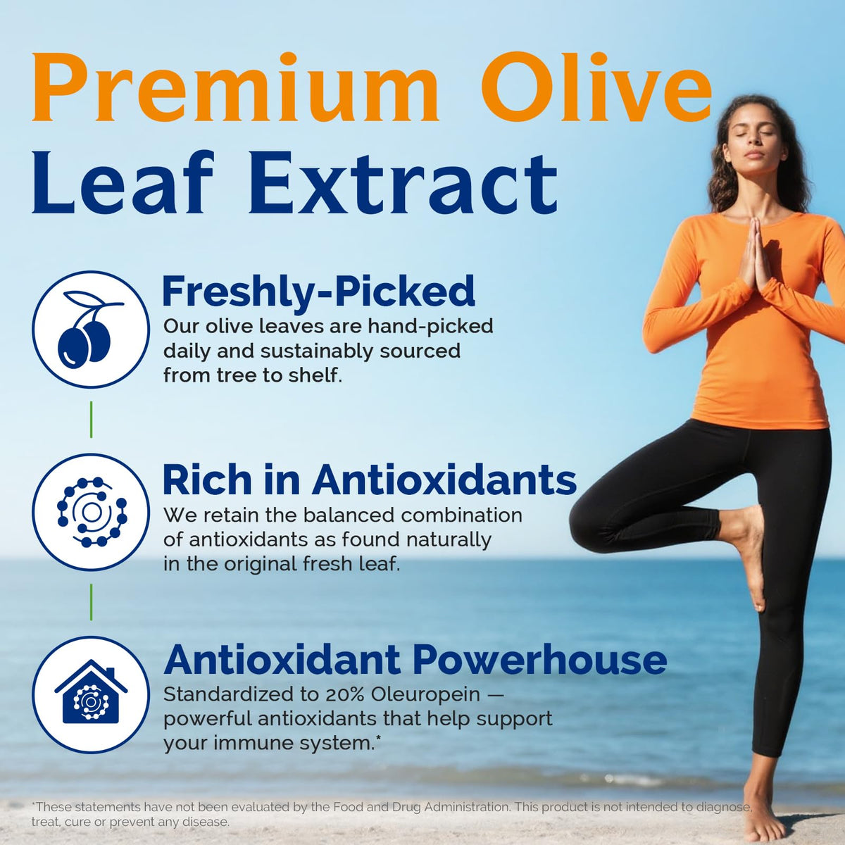 Ingrédients naturels des capsules d'extrait de feuille d'olive