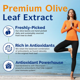 Ingrédients naturels des capsules d'extrait de feuille d'olive