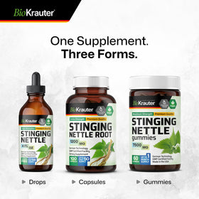 Ingrédients naturels des capsules d'ortie BIO KRAUTER