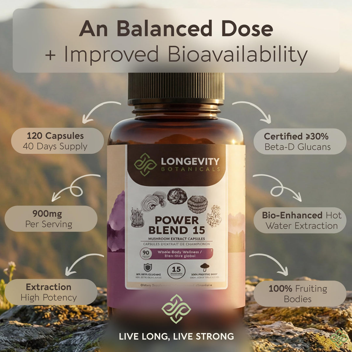 Ingrédients naturels des capsules de champignons Power 15